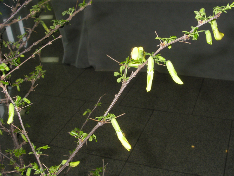 �̹����� Ŭ���ϸ� ������ ���� �� �ֽ��ϴ�.