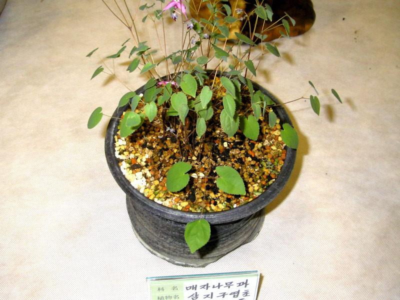 �̹����� Ŭ���ϸ� ������ ���� �� �ֽ��ϴ�.