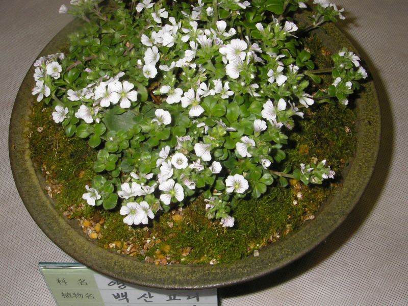 �̹����� Ŭ���ϸ� ������ ���� �� �ֽ��ϴ�.