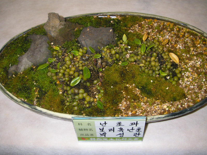 �̹����� Ŭ���ϸ� ������ ���� �� �ֽ��ϴ�.