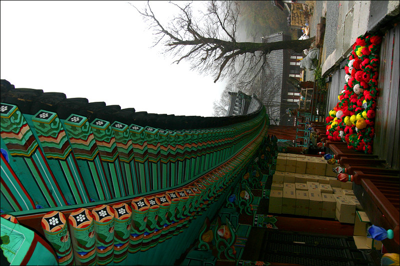 �̹����� Ŭ���ϸ� ������ ���� �� �ֽ��ϴ�.