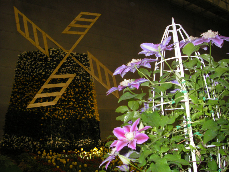 �̹����� Ŭ���ϸ� ������ ���� �� �ֽ��ϴ�.