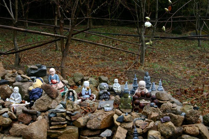 �̹����� Ŭ���ϸ� ������ ���� �� �ֽ��ϴ�.