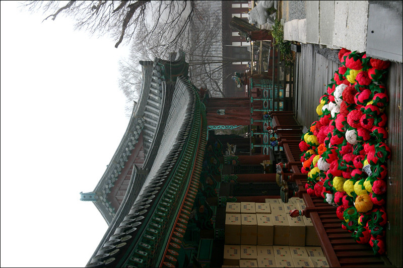 �̹����� Ŭ���ϸ� ������ ���� �� �ֽ��ϴ�.