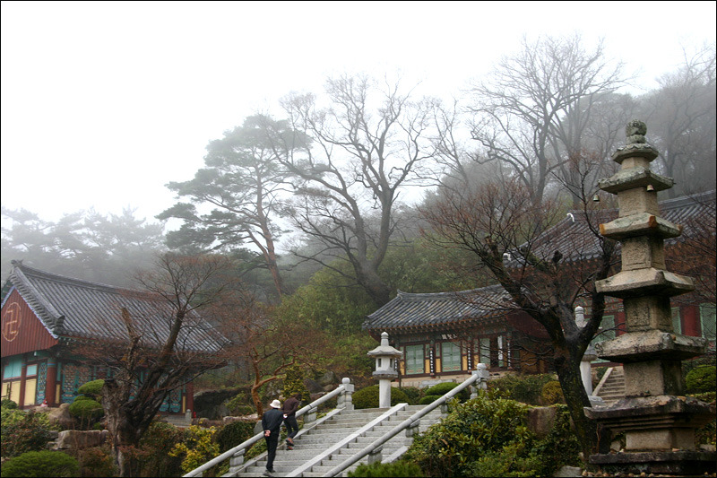 �̹����� Ŭ���ϸ� ������ ���� �� �ֽ��ϴ�.