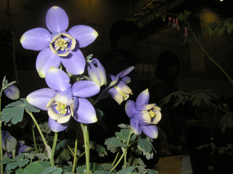 �̹����� Ŭ���ϸ� ������ ���� �� �ֽ��ϴ�.