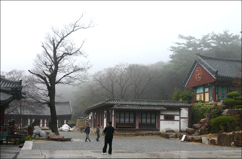 �̹����� Ŭ���ϸ� ������ ���� �� �ֽ��ϴ�.