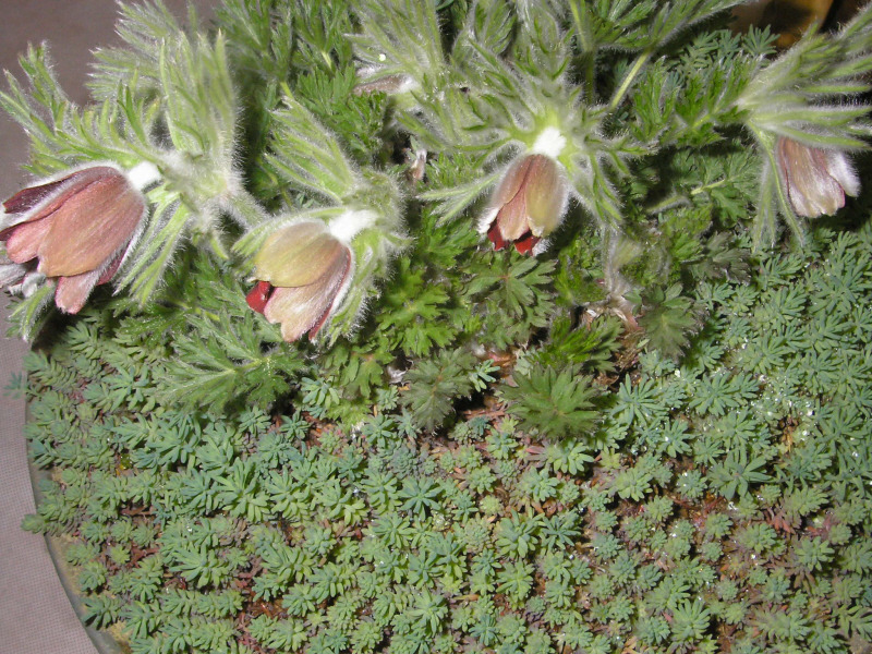 �̹����� Ŭ���ϸ� ������ ���� �� �ֽ��ϴ�.