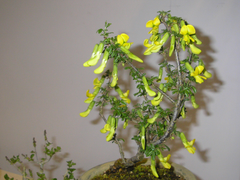 �̹����� Ŭ���ϸ� ������ ���� �� �ֽ��ϴ�.