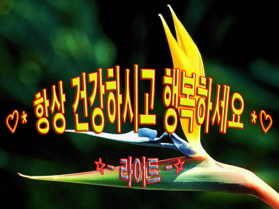 인연 이미지