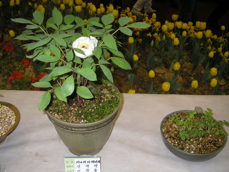 �̹����� Ŭ���ϸ� ������ ���� �� �ֽ��ϴ�.