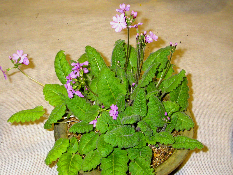 �̹����� Ŭ���ϸ� ������ ���� �� �ֽ��ϴ�.