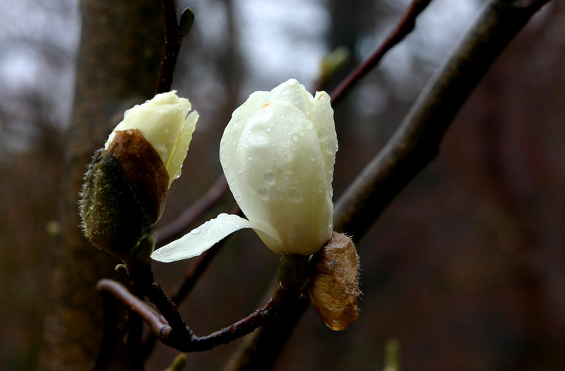 �̹����� Ŭ���ϸ� ������ ���� �� �ֽ��ϴ�.