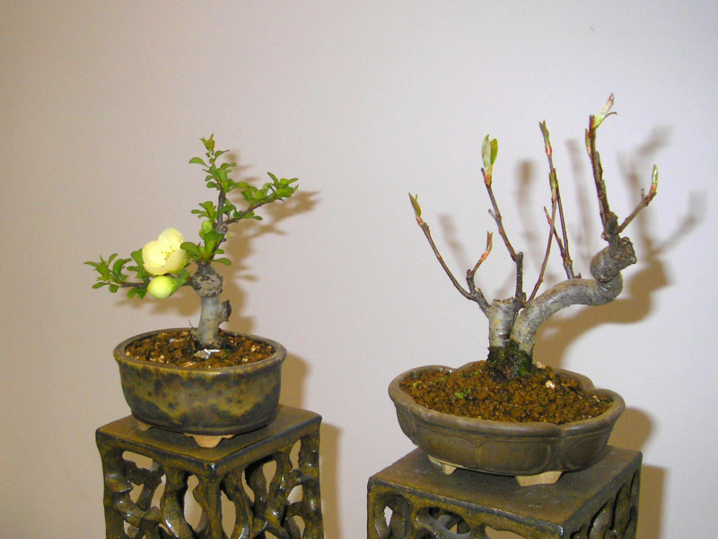 �̹����� Ŭ���ϸ� ������ ���� �� �ֽ��ϴ�.