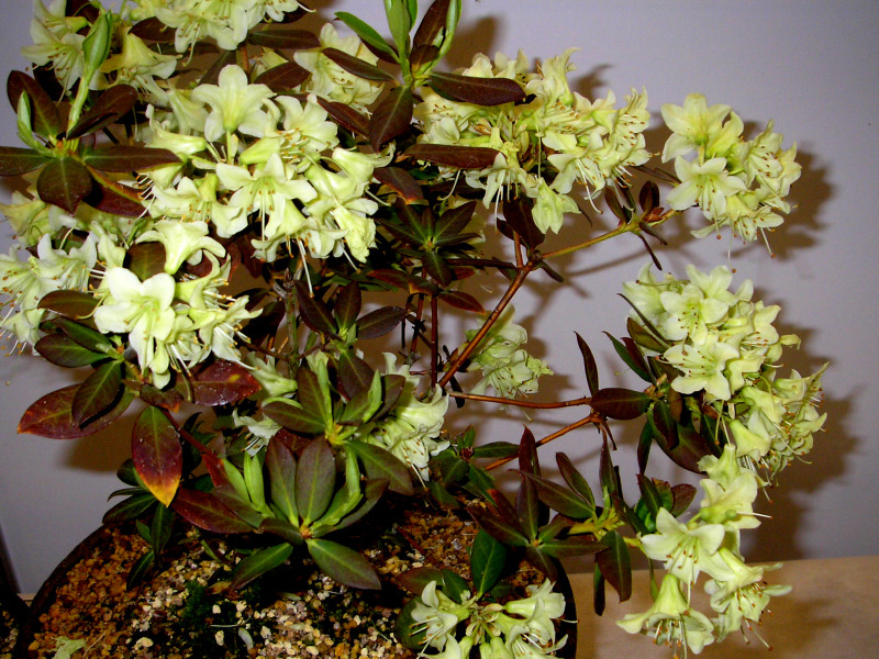 �̹����� Ŭ���ϸ� ������ ���� �� �ֽ��ϴ�.