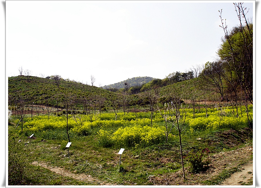 �̹����� Ŭ���ϸ� ������ ���� �� �ֽ��ϴ�.