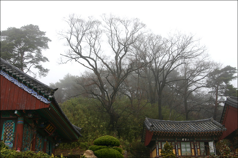 �̹����� Ŭ���ϸ� ������ ���� �� �ֽ��ϴ�.