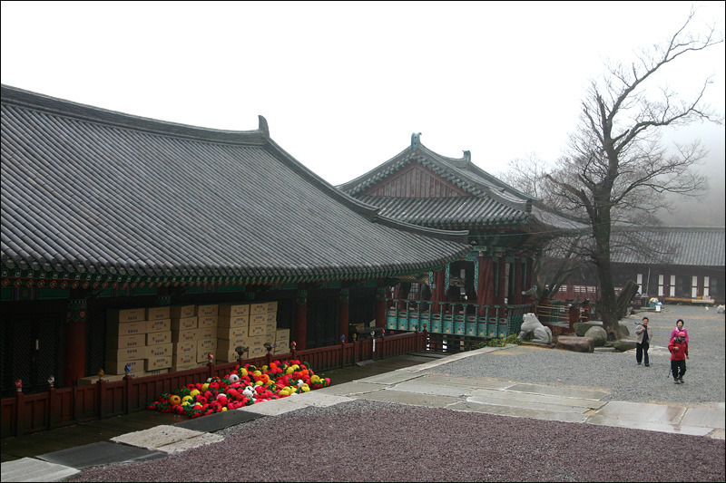 �̹����� Ŭ���ϸ� ������ ���� �� �ֽ��ϴ�.