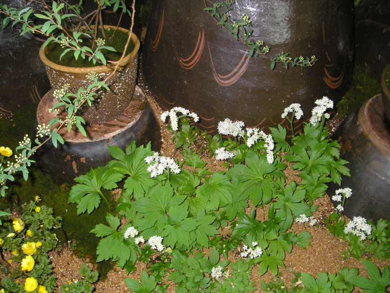 �̹����� Ŭ���ϸ� ������ ���� �� �ֽ��ϴ�.