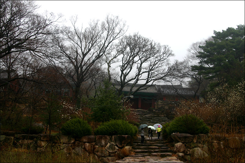 �̹����� Ŭ���ϸ� ������ ���� �� �ֽ��ϴ�.