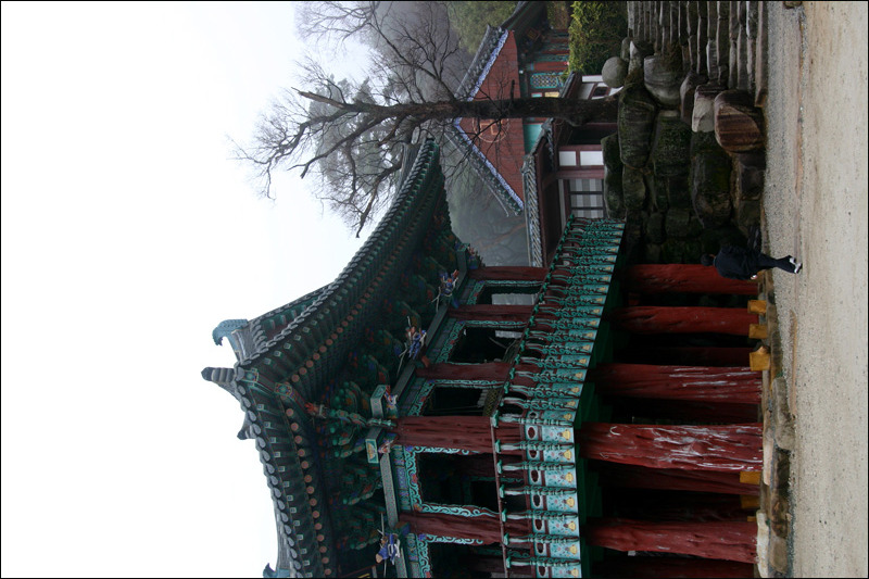 �̹����� Ŭ���ϸ� ������ ���� �� �ֽ��ϴ�.