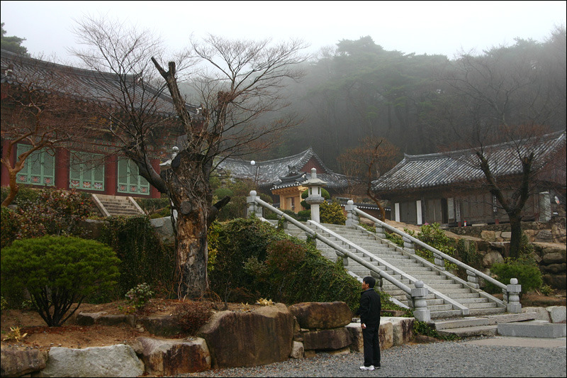 �̹����� Ŭ���ϸ� ������ ���� �� �ֽ��ϴ�.