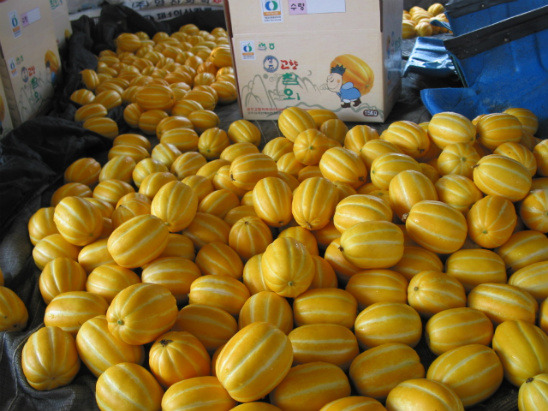 성주 이미지