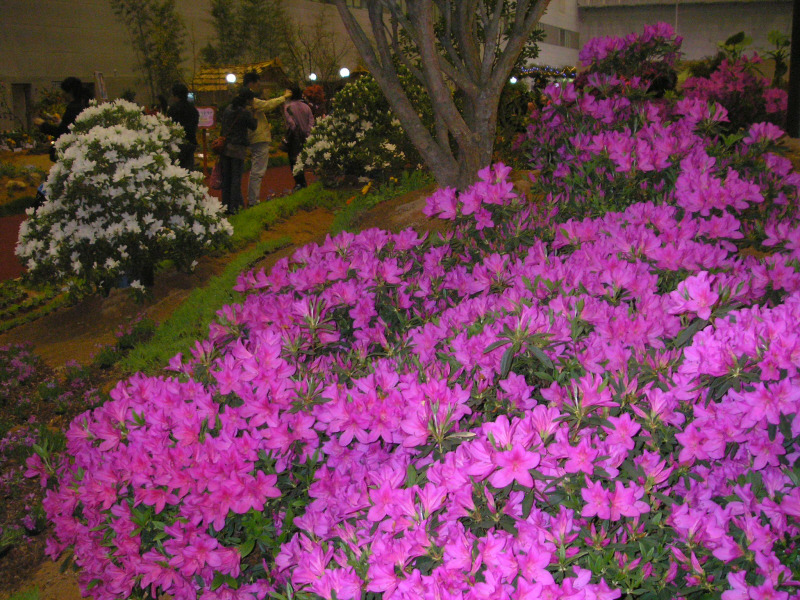 �̹����� Ŭ���ϸ� ������ ���� �� �ֽ��ϴ�.