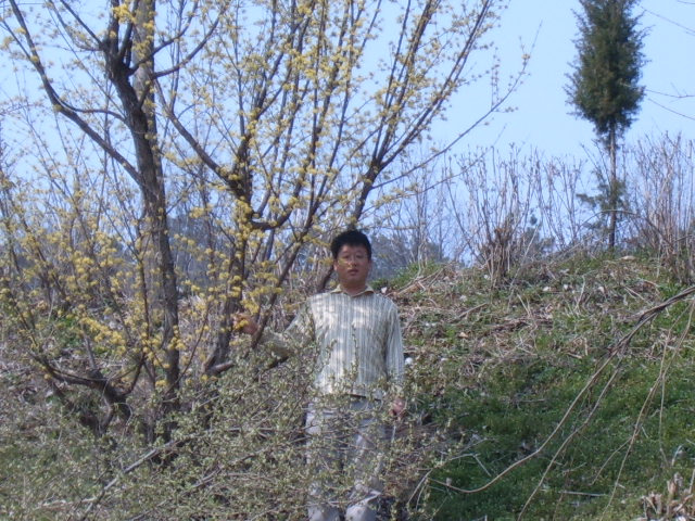 공주도령서당 이미지