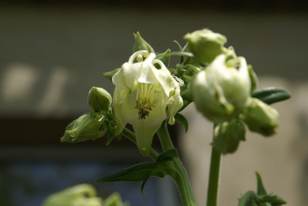 �̹����� Ŭ���ϸ� ������ ���� �� �ֽ��ϴ�.