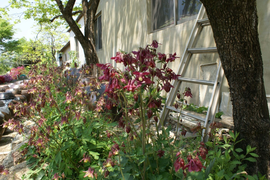 �̹����� Ŭ���ϸ� ������ ���� �� �ֽ��ϴ�.