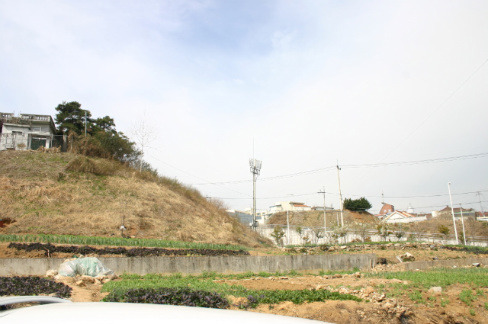 통샘 이미지