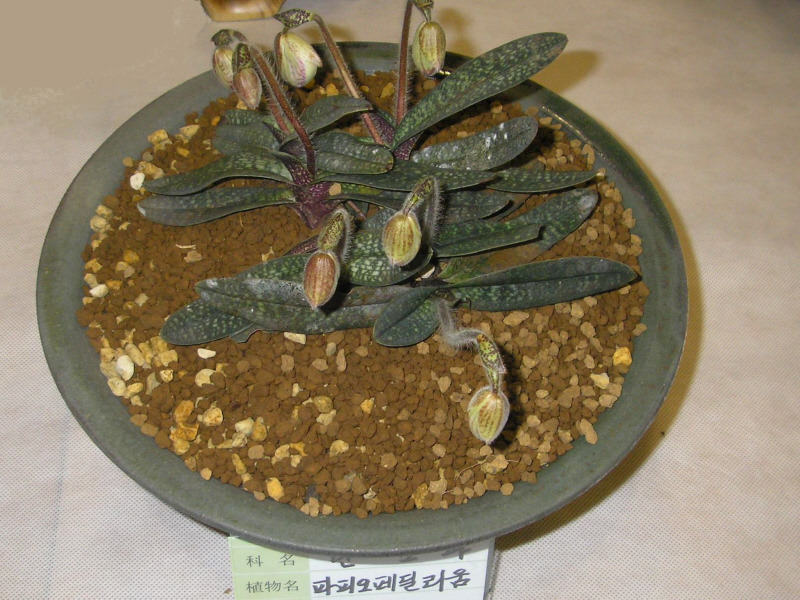 �̹����� Ŭ���ϸ� ������ ���� �� �ֽ��ϴ�.