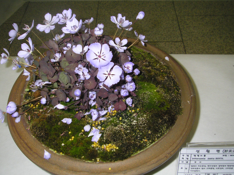 �̹����� Ŭ���ϸ� ������ ���� �� �ֽ��ϴ�.