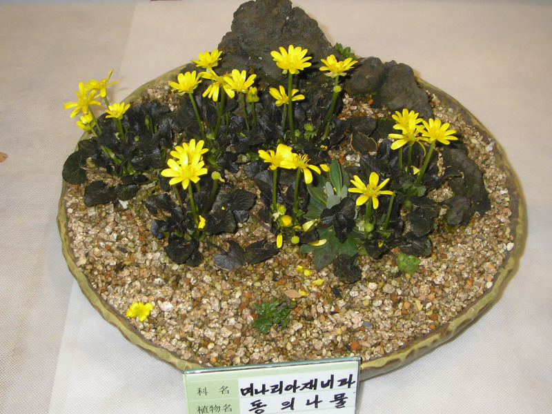 �̹����� Ŭ���ϸ� ������ ���� �� �ֽ��ϴ�.