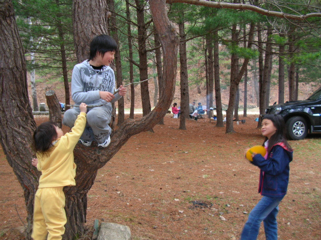 속리산사내리캠핑장 이미지